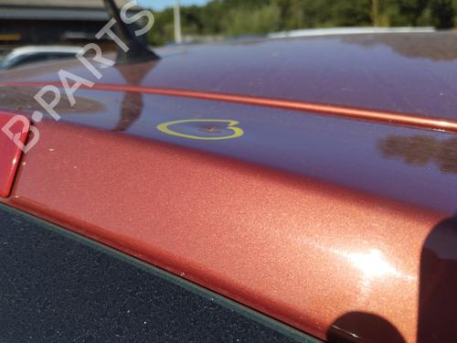 Used Tailgate Tailgate RENAULT CLIO III (BR0/1, CR0/1) 1.5 dCi (BR17, CR17) (86 hp) 27399105 27399105