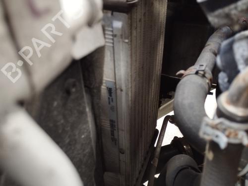 Intercooler FORD ECOSPORT 1.0 EcoBoost (125 hp) 33113146