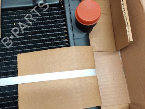 Water radiator RENAULT 11 (B/C37_)  | BP29813650M31