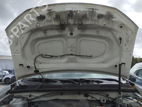 Hood DACIA SANDERO II 1.2 | BP28730582C1 