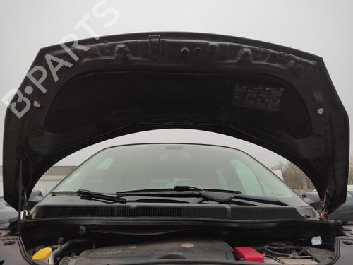 Hood RENAULT GRAND SCÉNIC II (JM0/1_) 1.9 dCi (JM14) | BP27068180C1 