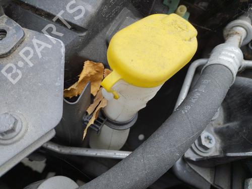 Used Windscreen washer tank RENAULT TWINGO II (CN0_) 1.2 16V (CN04, CN0B) (75 hp) 29210991