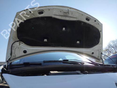 Used Hood Hood RENAULT CLIO III (BR0/1, CR0/1) 1.5 dCi (75 hp) 33545145 33545145