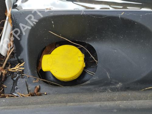 Used Windscreen washer tank DACIA SANDERO II 1.2 (75 hp) 28730665