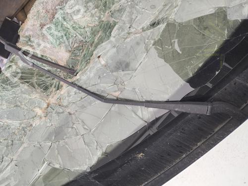 Used Front windshield wiper arm RENAULT TRAFIC III Van (FG_) 2.0 dCi 145 (FGML) (145 hp) 29633835