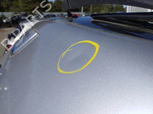 Tailgate DACIA SANDERO 1.4 (BS0C, BS0A, BS0G, BS1F, BS0E) | BP29026585C6 