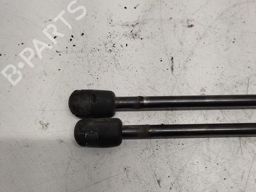 tailgate-lift-support-renault-megane-i-ba01_-1995-1996-1997-1998-1999-2000-2001-2002-2003-2004-31851718 main image