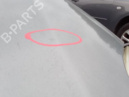 Hood FIAT GRANDE PUNTO (199_) 1.3 D Multijet | BP27077912C1 