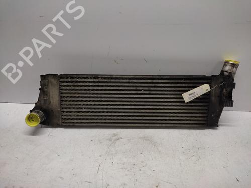 Used Intercooler Intercooler RENAULT MEGANE II Estate (KM0/1_) [2003-2012] 36679778 36679778