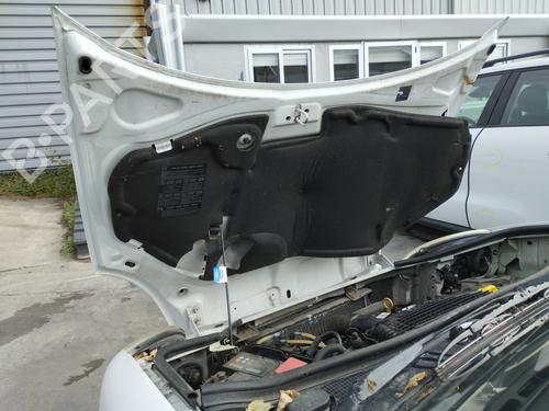 Hood NISSAN KUBISTAR Van (X76) 1.5 dCi | BP29483139C1 