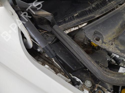 hood-lift-support-renault-zoe-bfm_-2012-27049315 main image