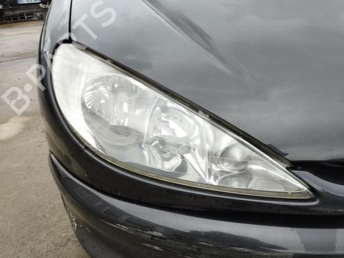 Front left window mechanism PEUGEOT 206 Hatchback (2A/C) 1.4 HDi eco 70 | BP27074766C22 
