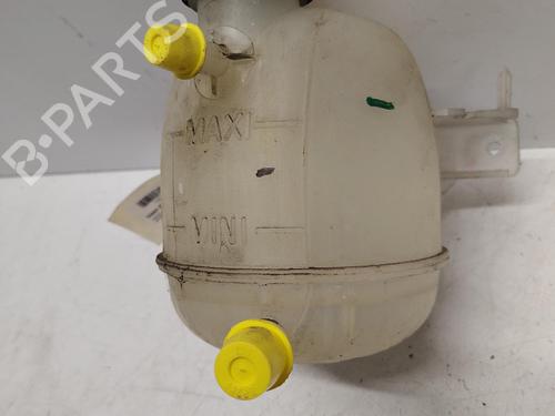 Used Expansion tank Expansion tank DACIA SANDERO 1.2 16V (75 hp) 40016775 40016775