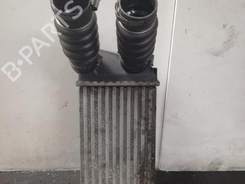 Used Intercooler CITROËN C4 Coupe (LA_) 1.6 HDi (109 hp) 27061556