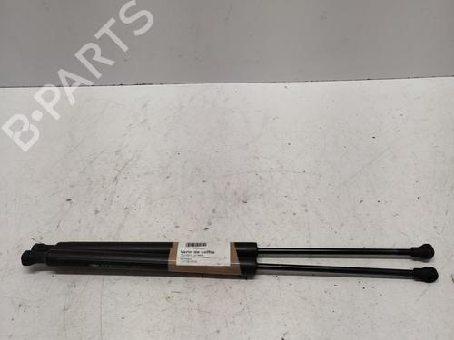 tailgate-lift-support-peugeot-208-i-ca_-cc_-2012-2013-2014-2015-2016-2017-2018-2019-2020-2021-33858044 main image
