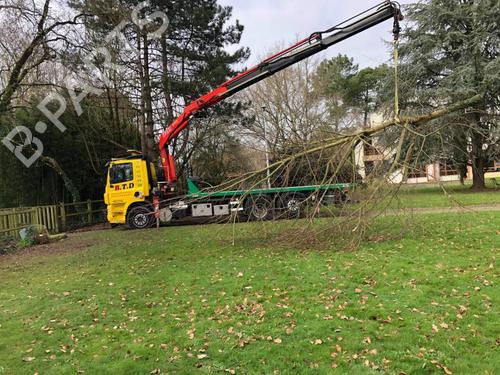 Starter FIAT 500X (334_) 1.4 (334AXC1B, 334AXC11) | BP27080201M8  - Image 5