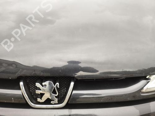 Front left window mechanism PEUGEOT 206 Hatchback (2A/C) 1.4 HDi eco 70 | BP27074766C22 