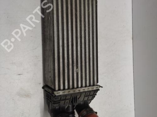 Intercooler CITROËN C3 III Van (SX_, SY_) BlueHDi 100 | BP31168812M30 - Image 2