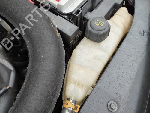 Ekspansjonstank RENAULT CLIO III (BR0/1, CR0/1) 1.5 dCi (BR0H, CR0H, CR1S, BR1S) (106 hp) 29736951