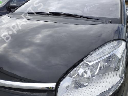 Hood CITROËN C4 Grand Picasso I (UA_) 1.6 HDi 110 | BP29313801C1