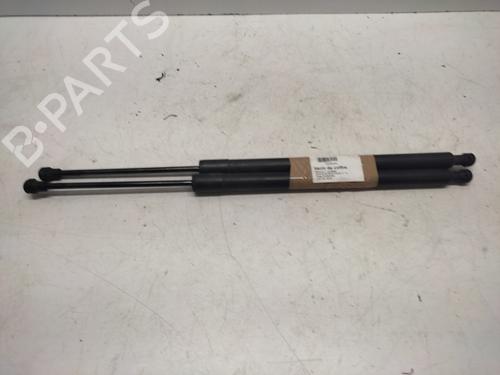 tailgate-lift-support-renault-modus-grand-modus-fjp0_-2004-36679645 main image