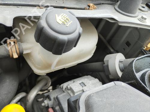 Used Expansion tank RENAULT TWINGO II (CN0_) 1.2 16V (CN04, CN0B) (75 hp) 29210992