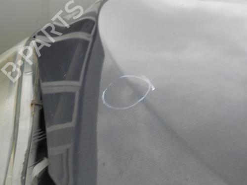 Used Hood RENAULT MEGANE III Hatchback (BZ0/1_, B3_) 1.5 dCi (BZ09, BZ0D, BZ1W, BZ29, BZ14) (110 hp) 27049695
