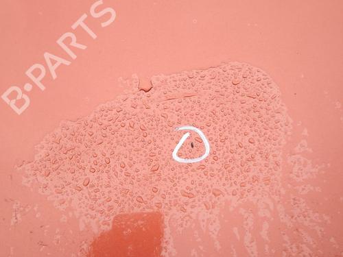 Hood FORD S-MAX (WA6) 2.0 TDCi | BP27083130C1