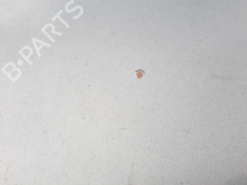 Hood FIAT GRANDE PUNTO (199_) 1.3 D Multijet | BP27077912C1 