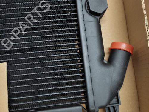 Water radiator RENAULT 11 (B/C37_)  | BP29813650M31