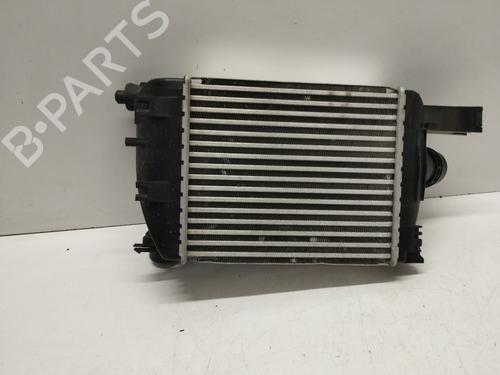 Intercooler DACIA DUSTER (HM_) 1.3 TCe 130 (HMMF) | BP27081898M30 