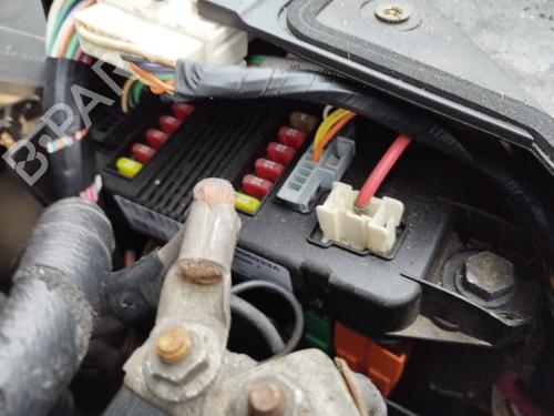 Used Electronic module RENAULT MEGANE II Coupé-Cabriolet (EM0/1_) 1.9 dCi (120 hp) 31355923