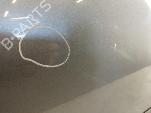 Left front door PEUGEOT 207 (WA_, WC_) 1.6 HDi | BP31381153C2 