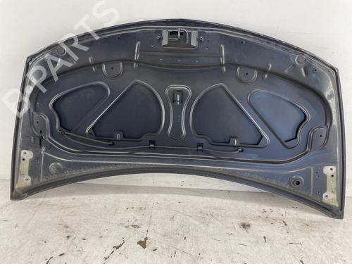 Capot Capot RENAULT CLIO III (BR0/1, CR0/1) 1.2 16V (BR0P, CR0P) (101 hp) 38871723 38871723