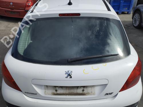 Used Tailgate PEUGEOT 207 (WA_, WC_) 1.4 HDi (68 hp) 29285777
