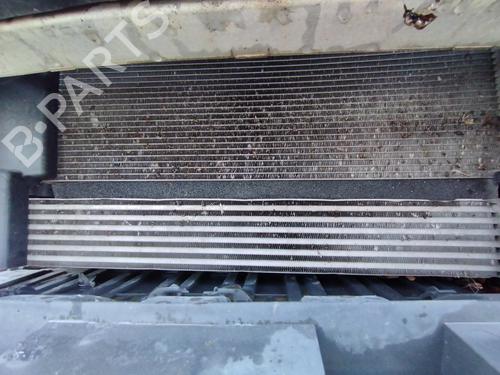 Intercooler RENAULT SCÉNIC III (JZ0/1_) 1.5 dCi (110 hp) 32183421