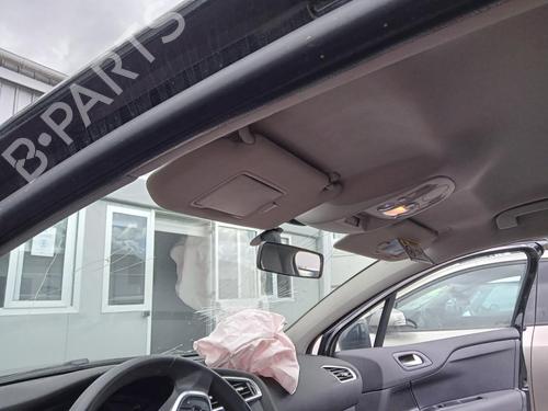 Used Interior roof light CITROËN C4 II (NC_) 1.6 HDi 115 (114 hp) 27088072