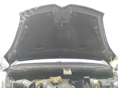 Hood CITROËN C4 Grand Picasso I (UA_) 1.6 HDi 110 | BP29313801C1