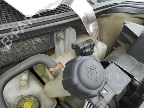 Used Expansion tank Expansion tank RENAULT LAGUNA II Grandtour (KG0/1_) [2001-2007] 35938912 35938912