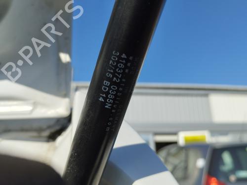 tailgate-lift-support-renault-clio-iii-br01-cr01-2005-2006-2007-2008-2009-2010-2011-2012-2013-2014-33545205 main image