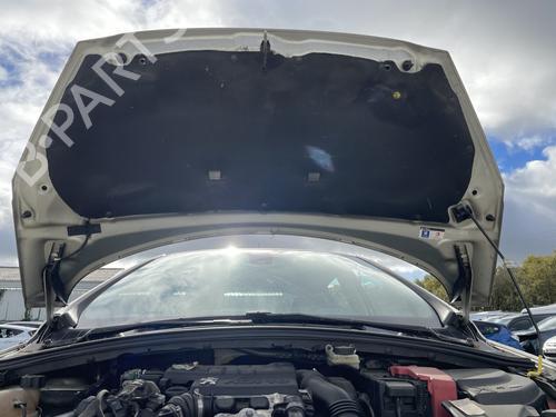 Hood PEUGEOT 308 I (4A_, 4C_) 1.6 HDi | BP29958196C1 