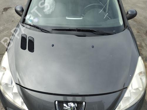 Used Hood PEUGEOT 206+ (2L_, 2M_) 1.4 i (73 hp) 28600482