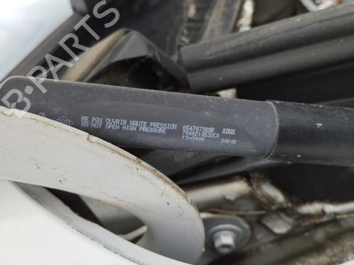 Used Hood lift support RENAULT ZOE (BFM_) ZOE (88 hp) 27049315