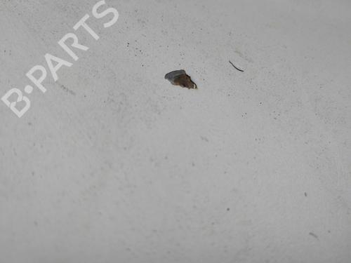 Hood CITROËN C3 Picasso (SH_) 1.6 HDI 90 | BP30458302C1