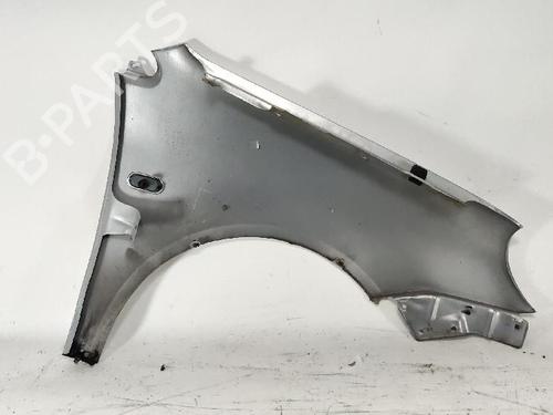 Left front fenders VW POLO IV (9N_, 9A_) 1.4 TDI | BP29421522C41 