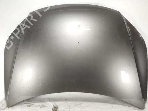Used Hood VW TIGUAN (5N_) 2.0 TDI (140 hp) 27425844