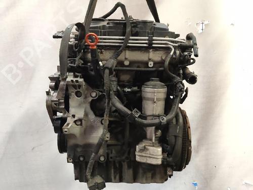 Engine VW GOLF PLUS V (5M1, 521) 1.9 TDI | BP32438242M1