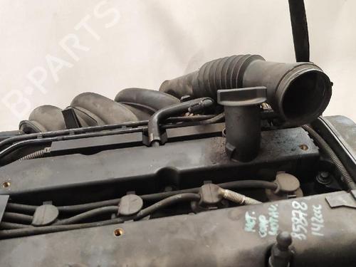Engine FORD FUSION (JU_) 1.6 | BP36882084M1  - Image 6