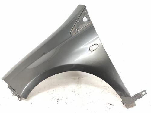 Used Left front fenders FIAT BRAVO II (198_) 1.6 D Multijet (198AXL1B) (120 hp) 27425156