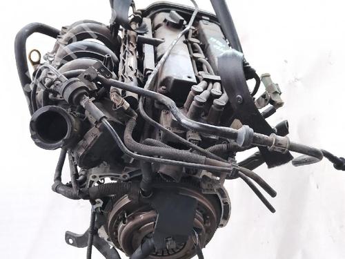 Motor Motor FORD FIESTA VI (CB1, CCN) 1.25 (82 hp) 36497581 36497581